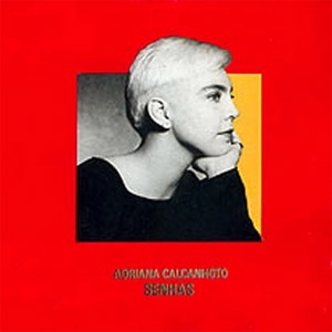 Disco Senhas de Adriana Calcanhotto