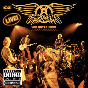 Disco You Gotta Move (Dvd) de Aerosmith