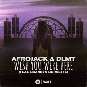 Disco Wish You Were Here de Afrojack