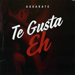 Disco Te Gusta Eh de Aguakate