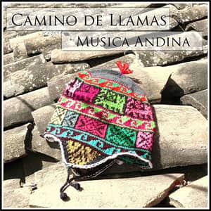 Disco Camino De Llamas - Musica Andina de Alborada