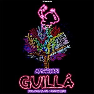 Disco Guilla de Amarion