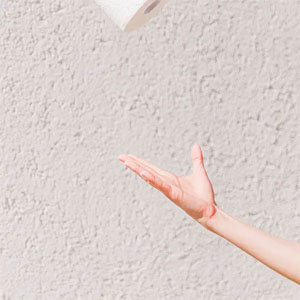 Disco Wastino Domain de Amy Lee