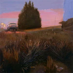 Disco Por La Hierba de Angel Stanich