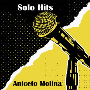 Disco Solo Hits de Aniceto Molina