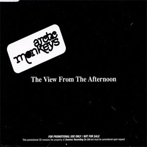 Disco The View From The Afternoon de Arctic Monkeys