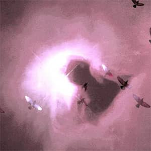 Disco Elegant Evening de Aretha Franklin