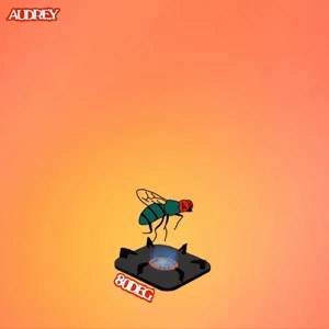 Disco 80Deg de Audrey Nuna