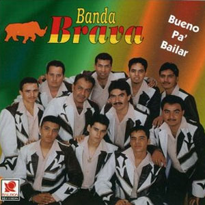 Disco Bueno Pa Bailar de Banda Brava