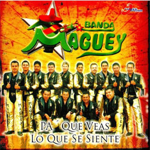 Disco Pa Que Veas Lo Que Se Siente de Banda Maguey