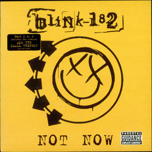Disco Not Now de Blink 182