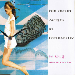 Disco The Secret Society Of Butterflies de Blonde Redhead