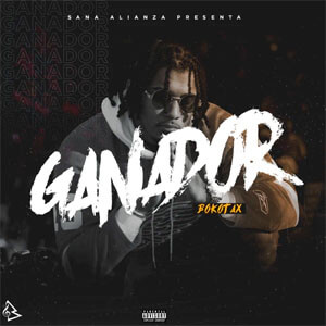 Disco Ganador de Bokotax