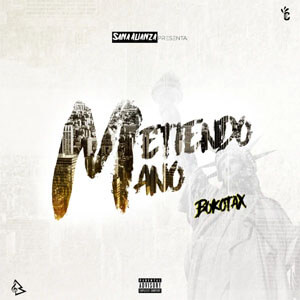 Disco Metiendo Mano de Bokotax