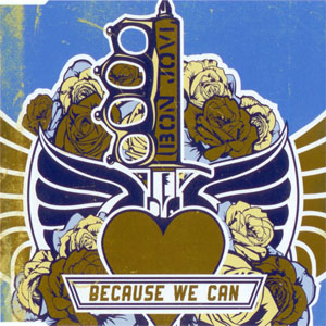 Disco Because We Can de Bon Jovi 