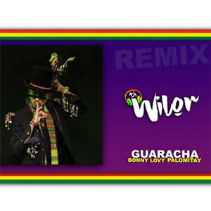 Álbum Palomitay (DJ Wilor Remix) de Bonny Lovy