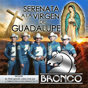 Disco Serenata A La Virgen De Guadalupe de Bronco