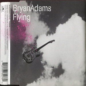 Disco Flying de Bryan Adams