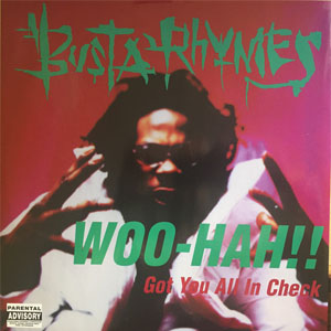 Disco Woo Hah!! Got You All In Check de Busta Rhymes