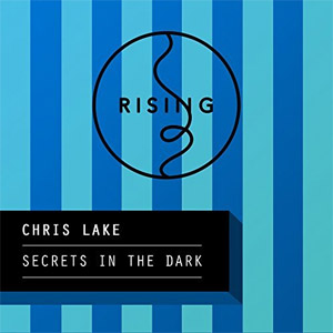 Disco Secrets In The Dark de Chris Lake