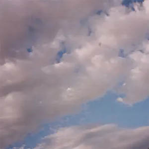 Disco Mi Querido, Mi Viejo, Mi Amigo de Cuco