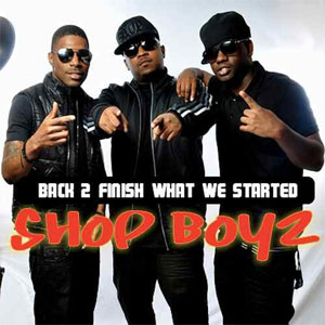 Disco Back 2 Finish What We Started de Da Shop Boyz