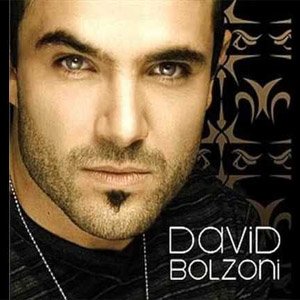 Disco David Bolzoni de David Bolzoni