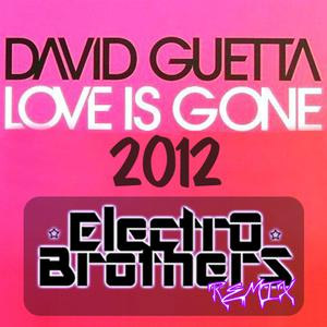 Disco Love is Gone (ElectroBrothers Remix) de David Guetta