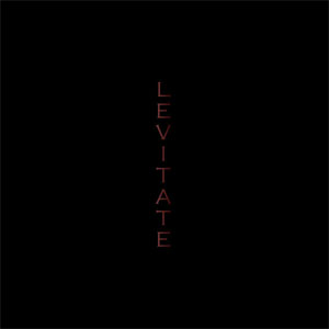 Disco Levitate de Dawn Richard