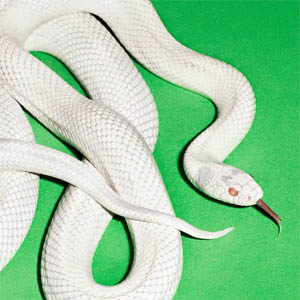 Disco Private Music de Deftones