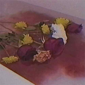 Disco Hay Flores Flotando en el Agua de Dellafuente