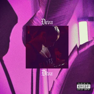 Disco Divx de Deva