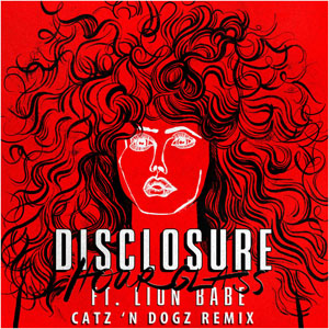 Disco Hourglass (Catz 'n Dogz Remix) de Disclosure