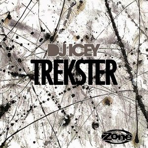Disco Trekster de DJ Icey