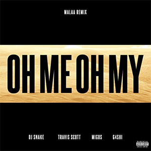 Disco Oh Me Oh My (Malaa Remix) de DJ Snake