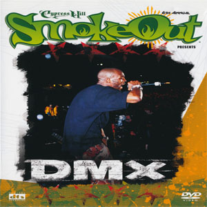Disco SmokeOut de DMX