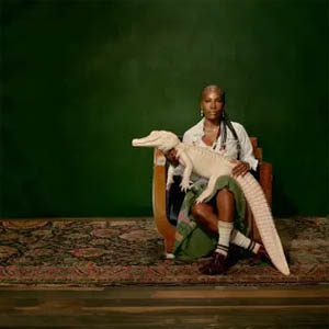 Álbum Alligator Bites Never Heal de Doechii