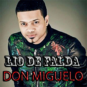 Disco Lío De Falda de Don Miguelo