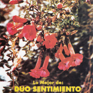 Disco Lo Mejor De Dúo Sentimiento de Dúo Sentimiento