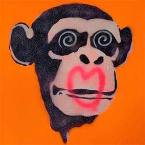 Disco Wrong About You de DVBBS