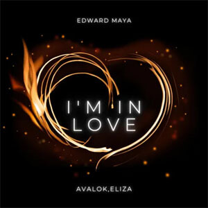 Disco I'm In Love de Edward Maya