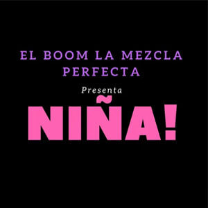 Disco Niña de El Boom La Mezcla Perfecta