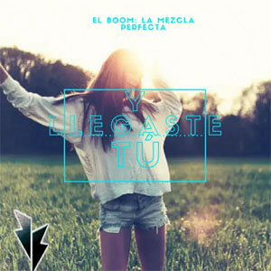 Disco Y Llegaste Tú de El Boom La Mezcla Perfecta