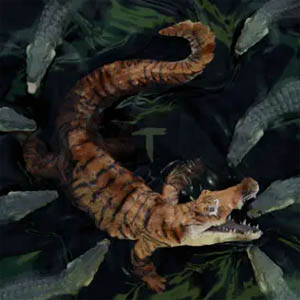 Disco Everglades de El Taiger