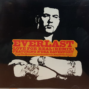 Disco Love For Real (Remix) de Everlast