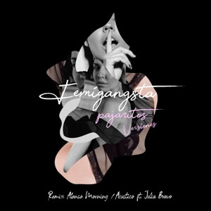 Disco Pajaritos de Femigangsta