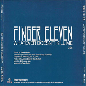 Disco Whatever Doesn't Kill Me de Finger Eleven
