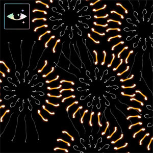 Disco The Golden Light de Fito Páez