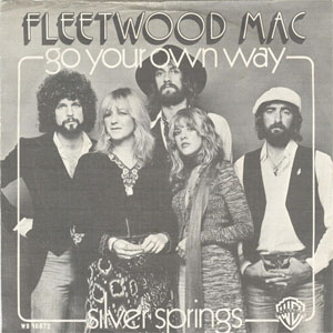 Disco Go Your Own Way de Fleetwood Mac