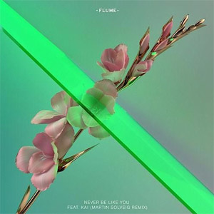 Disco Never Be Like You  [Martin Solveig Remix] de Flume